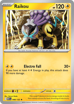 Raikou Mega Evolution #48