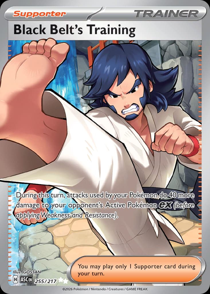 Black Belt's Training Ascended Heroes #255