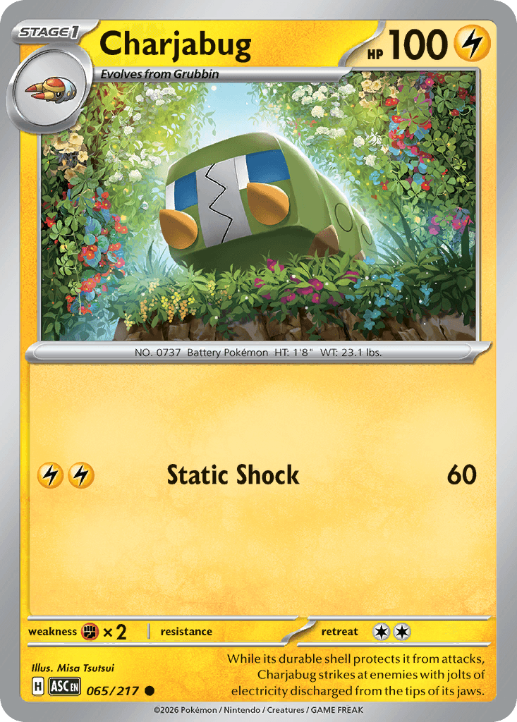 Charjabug (Energy Symbol Pattern) Ascended Heroes #65