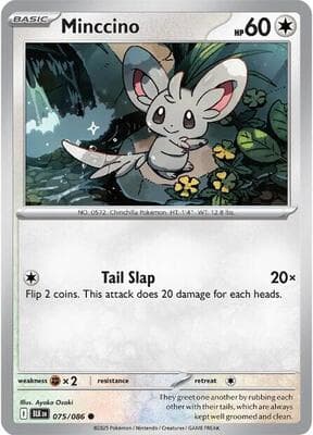 Minccino