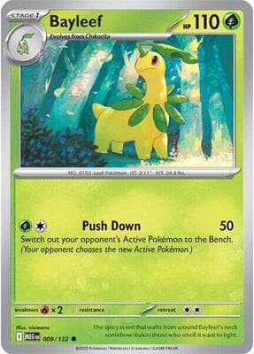 Bayleef Mega Evolution #9