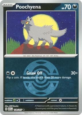 Poochyena · Dusk Ball