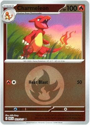 Charmeleon · Energy Symbol Pattern