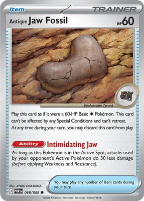 Antique Jaw Fossil Perfect Order #68