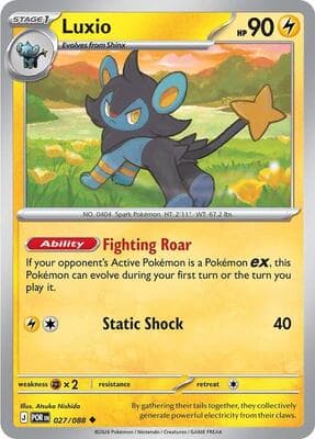 Luxio Perfect Order #27