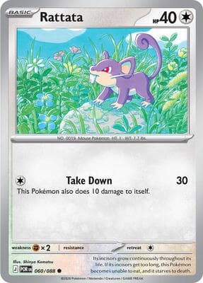 Rattata Perfect Order #60